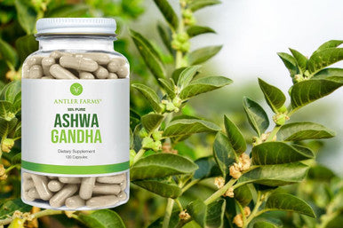 Antler Farms 100% Pure Ashwagandha Root and Ashwagandha Root Extract 130 Capsules 1200mg Standardized to 5% withanolides Enhances Mental Performance Energy and Immunity