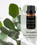 Peppermint Eucalyptus Essential Oil, 2Pcs 100% Pure, Undiluted, Natural, Organic Aromatherapy Essential Oils Gift Set