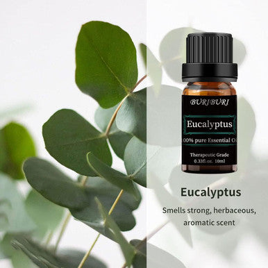 Peppermint Eucalyptus Essential Oil, 2Pcs 100% Pure, Undiluted, Natural, Organic Aromatherapy Essential Oils Gift Set