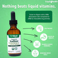 Liquidhealth Nascent Iodine Organic Liquid Liquid Iodine Drops Pure Iodine Supplement Thyroid Support & Immune Support Energy Supplement USDA Organic Vegan Colorless Tasteless Tincture