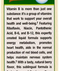Nature's Truth Sublingual Vitamin B Complex Plus B-12 Fast Acting Flavored Liquid, Natural Berry Flavor, 2 Fluid Ounce (Pack of 3)