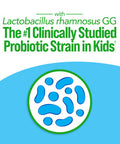 Culturelle Kids Probiotic Complete Multivitamin Chewable Promotes Immune Digestive Oral Health With 11 Vitamins Minerals including Vitamins C D Zinc NonGMO Fruit Punch Flavor 30 Count