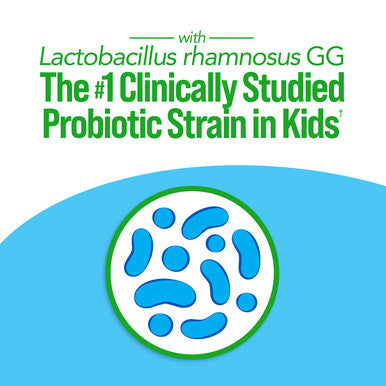 Culturelle Kids Probiotic Complete Multivitamin Chewable Promotes Immune Digestive Oral Health With 11 Vitamins Minerals including Vitamins C D Zinc NonGMO Fruit Punch Flavor 30 Count
