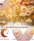 Nootropics Depot Apigenin Capsules 200Mg 120 Count >98% Apigenin Supports Healthy Stress Levels