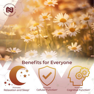 Nootropics Depot Apigenin Capsules 200Mg 120 Count >98% Apigenin Supports Healthy Stress Levels