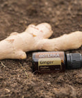 Doterra - Ginger Essential Oil 15 Ml