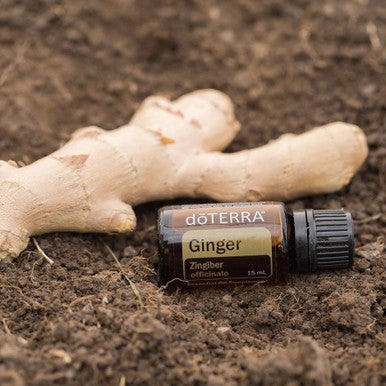 Doterra - Ginger Essential Oil 15 Ml