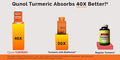 Turmeric Curcumin Softgels Qunol with Ultra High Absorption 1000mg Joint Support Dietary Supplement Extra Strength 60 Count