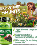 Naturelo Immune Support Vitamin C, Elderberry, Zinc, Echinacea Natural Immunity Boost W/Antioxidant, Herbal & Mineral Defense - 60 Vegan Capsules