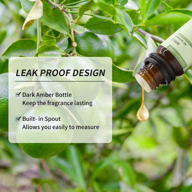 GREENSLEEVES Lime Essential Oil 10ml, 100% Pure Organic Lime Aromatherapy Diffuser Oils 10ml
