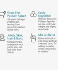 Collagen Peptides Pasture Raised Grass Fed 100 Collagen Protein Hydrolyzed Type I and III Collagen Peptides Powder Unflavored 500 Grams/ 17.6 Ounces