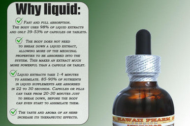 Nutmeg Liquid Extract, Organic Nutmeg (Myristica Fragrans) Tincture 2x2 oz