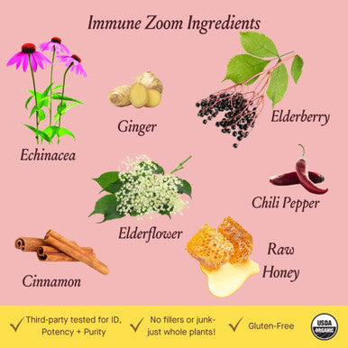 Urban Moonshine Immune Zoom - Stimulates Immune System* - Fast-Acting Immune Booster* With Echinacea, Elderberry & Raw Honey - Immune Support Supplement - Gluten Herbal Supplement* - 2 Fl Oz