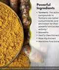 Irwin Naturals Wholebody Turmeric+ 60 Liquid Softgels Bioperine Complex Enhanced Absorption 30 Total Servings