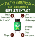 Olive Leaf Extract Capsules. Pure High Strength In Vegan Capsules With 20% Oleuropein, High Antioxidants. Supports Optimal Immune