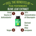 Olive Leaf Extract Capsules. Pure High Strength In Vegan Capsules With 20% Oleuropein, High Antioxidants. Supports Optimal Immune