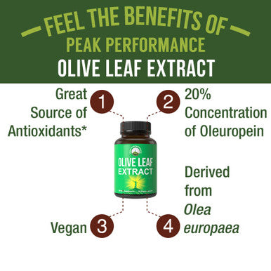 Olive Leaf Extract Capsules. Pure High Strength In Vegan Capsules With 20% Oleuropein, High Antioxidants. Supports Optimal Immune