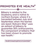 Nature'S Way Bilberry Standardized Extract Veg Capsules 90 Ea (Pack Of 3)