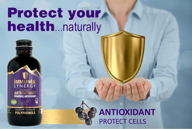 IMMUNIA Synergy - Elderberry and Blueberry Syrup Powerful Polyphenols Antioxidant Alcohol-Free and No Sugar Added - Made In Canada