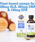 Garden of Life Plant Omega-3 Ala Dha & Epa Supplement For Children -Liquid Strawberry - Vegan Brain & Eye Support For Kids Sugar Free & Non-Gmo - 2 Fl Oz