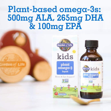 Garden of Life Plant Omega-3 Ala Dha & Epa Supplement For Children -Liquid Strawberry - Vegan Brain & Eye Support For Kids Sugar Free & Non-Gmo - 2 Fl Oz