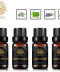 Aromatherapy Eucalyptus Essential Oil Set for Diffuser, 4x10ml 100% Pure Lavender Essential Oil Kit for Humidifier-Peppermint, Rosemary Essential Oils Set, Pure Peppermint Essential Oils Kit for Home