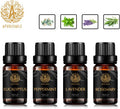 Aromatherapy Eucalyptus Essential Oil Set for Diffuser, 4x10ml 100% Pure Lavender Essential Oil Kit for Humidifier-Peppermint, Rosemary Essential Oils Set, Pure Peppermint Essential Oils Kit for Home