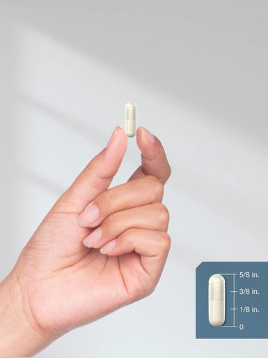 HorbAach Zinc Picolinate 100Mg 180 Capsules High Potency Non-Gmo, Gluten Zinc Supplement