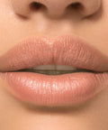 Dermelect 4-in-1 Smooth Lip Solution- Iconic nude beige: lipstick + stain + balm + gloss all in one, Vitamins A, C, E, to Hydrate & Condition Lips, Long-Wear, Richly Pigmented, Full Coverage .13 oz