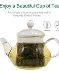 Fullchea - Milk Oolong Tea - Oolong Tea Loose Leaf - Taiwan High Mountain Tea Jin Xuan Milk Oolong - Naturally Milky and Silky Aroma - Health Tea - 8oz / 226g