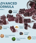 Himalayan Shilajit Gummies With 85+ Trace Minerals & Fulvic Acid For Energy, Immune, Cognitive Support High Potency Pure Natural Shilajit Supplement For Men & Women 60 Gummies