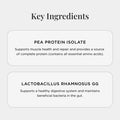 JSHealth Vegan Pea Protein Powder Vanilla Bean Flavor 300G