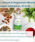 Calcium & Magnesium 2:1, Plant Based Algae Mineral Complex, Bone & Teeth Support, High Absorption Formula with Cofactors Boron, Vitamin D3 & K2, Vegan, 60 Tablets, by Igennus