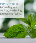 Garden of Life Essential Oil Peppermint 0.5 Fl Oz (15 Ml)