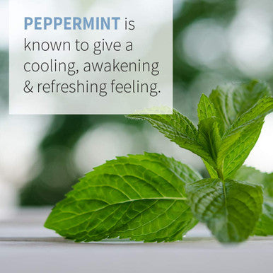 Garden of Life Essential Oil Peppermint 0.5 Fl Oz (15 Ml)