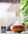 Lavender + Eucalyptus Essential Oil Aromatherapy Oil, 100% Pure Essential Oils for Diffuser, Humidifier, Massage 10ML*Top 2 Set