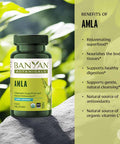Banyan Botanicals Amla (Amalaki) Tablets Organic Emblica Officinalis Natural Source Of Vitamin C And Antioxidants Supports Digestion And Cleansing* 90 Tablets Non Gmo Sustainably Sourced