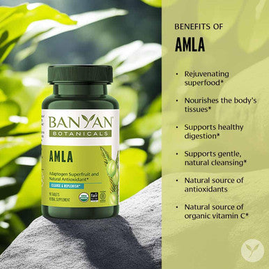 Banyan Botanicals Amla (Amalaki) Tablets Organic Emblica Officinalis Natural Source Of Vitamin C And Antioxidants Supports Digestion And Cleansing* 90 Tablets Non Gmo Sustainably Sourced