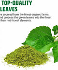 Mulberry Leaf Powder - Mulberry Leaf Extract - All-Natural Raw Herb Super Food Supplement - 1 Pound(16 Ounces)