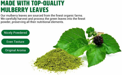 Mulberry Leaf Powder - Mulberry Leaf Extract - All-Natural Raw Herb Super Food Supplement - 1 Pound(16 Ounces)