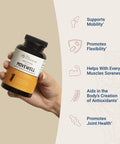 Glucosamine Chondroitin with MSM, Hyaluronic Acid, and More - MoveWell by LiveWell | Joint Health Supplement