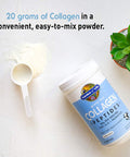 Garden of Life Collagen Beets Bundle: Multi-Sourced Collagen Hyaluronic Acid Unflavored 12 Servings + Organic Beets Detox Cranberry Pomegranate 30 Servings + Collagen Peptides Powder 14 Servings
