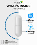 Renew Actives Potent L-Tyrosine Supplement For Amino Acid Support | Boost Muscle Protein Synthesis, Enhance Health & Well Being | 500Mg, 120 Capsules