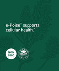 Standard Process Catalyn With Iron - Whole Food Energy, Vitality, And Antioxidant Support With Riboflavin, Vitamin B6, Thiamine