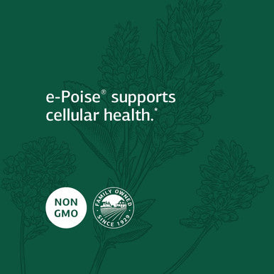 Standard Process Catalyn With Iron - Whole Food Energy, Vitality, And Antioxidant Support With Riboflavin, Vitamin B6, Thiamine