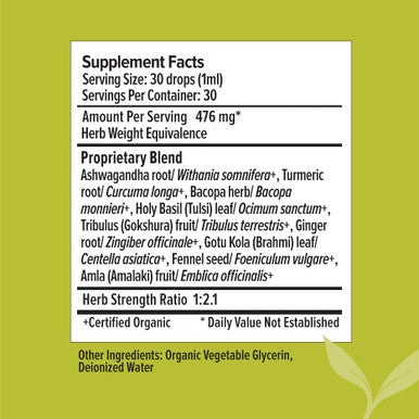 Banyan Botanicals I Travel Well Liquid Extract, Usda Organic, Ayurvedic Herbal Formula Designed To Support The Body'S Natural Ability To Adapt To The Stresses Of Travel Including Changes In Time Zone.