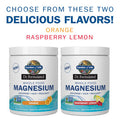 Garden of Life Dr. Formulated Whole Food Magnesium 419.5G Powder - Orange Chelated Non-Gmo Vegan Kosher Gluten & Sugar Free Supplement With Probiotics - Best For Anti-Stress Calm & Regularity