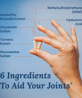 Glucosamine Chondroitin with MSM, Hyaluronic Acid, and More - MoveWell by LiveWell | Joint Health Supplement
