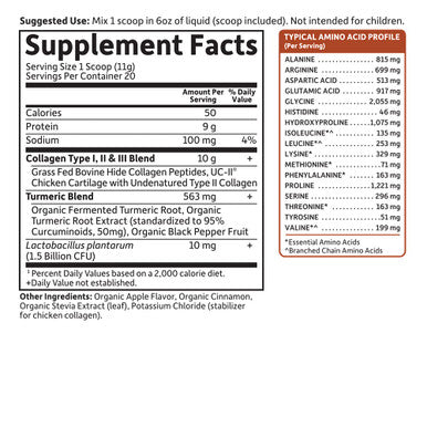 Garden of Life Multi-Sourced Protein Hydrolyzed Collagen Peptides Powder Supplements For Women Men Joints Mobility Apple Cinnamon Turmeric 20 Servings 7.76 Oz