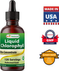 Best Naturals 2 Packs Liquid Chlorophyll Drops - 50 mg - 120 Servings Per Glass Bottle - 2 FL OZ